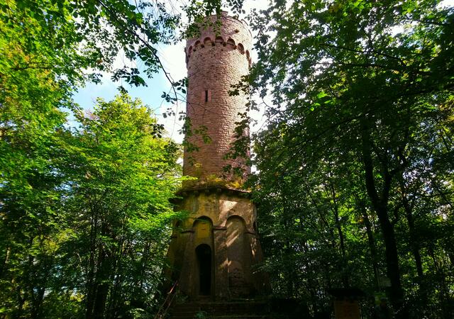 Der Aussichtsturm auf dem Katzenbuckel | Foto: Shima Mahi