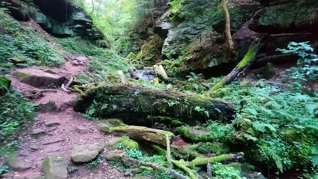 Einmal über den Bach geht es auf der anderen Seite weiter. | Foto: Shima Mahi