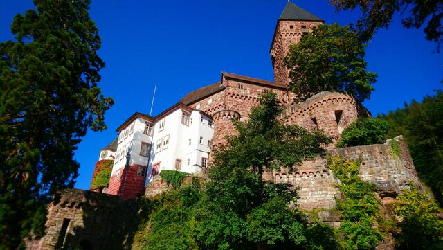 Die Burg Zwingenberg: An der rechten Seite geht es in die Wolfsschlucht. | Foto: Shima Mahi