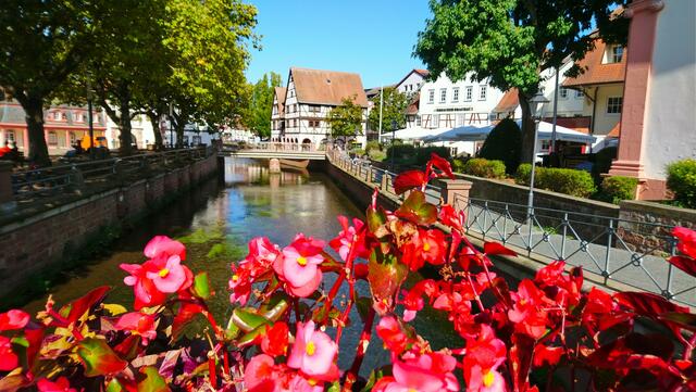 Blick auf den Mümling | Foto: Shima Mahi