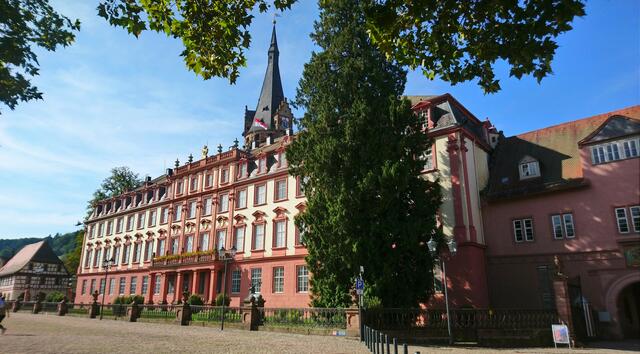 Das Erbacher Schloss liegt direkt am Marktplatz im Zentrum des Ortes. | Foto: Shima Mahi