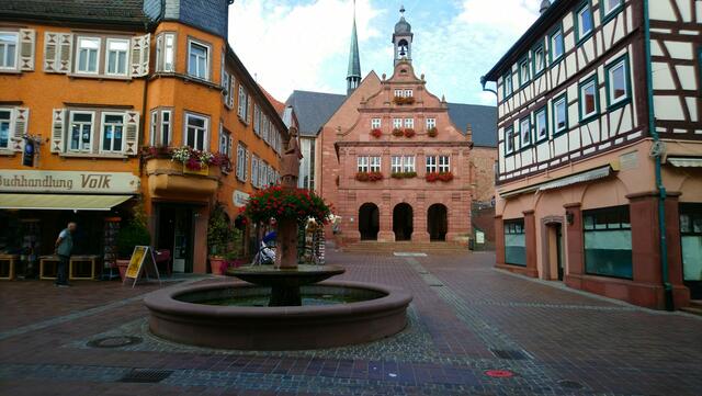 Brunnen und Rathaus in Buchen | Foto: Shima Mahi