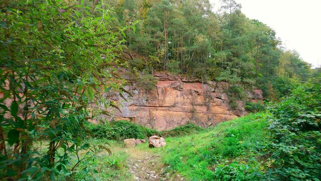 Wald und Felsen | Foto: Shima Mahi