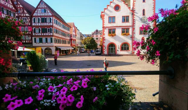 Blumenschmuck am Marktplatz | Foto: Shima Mahi