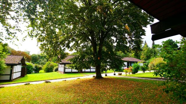 Im Feriendorf Waldbrunn | Foto: Shima Mahi