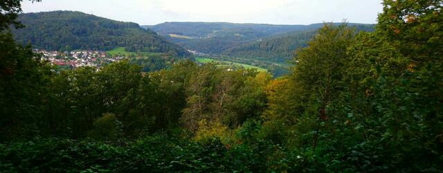 Am Neckarsteig in der Nähe von Eberbach: Aussicht auf den Hungerbuckel | Foto: Shima Mahi