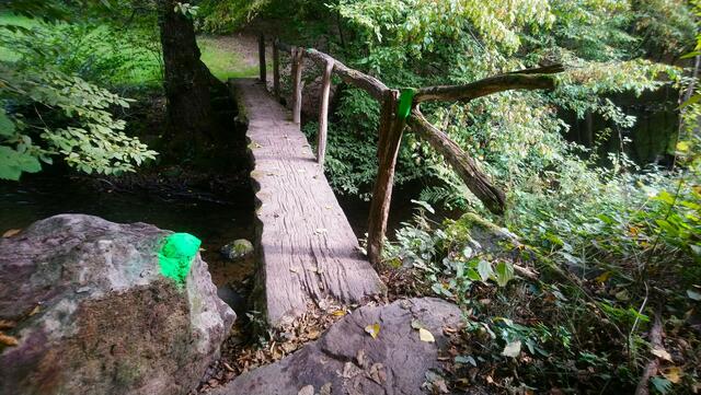 Der Steg von der anderen Seite. | Foto: Shima Mahi