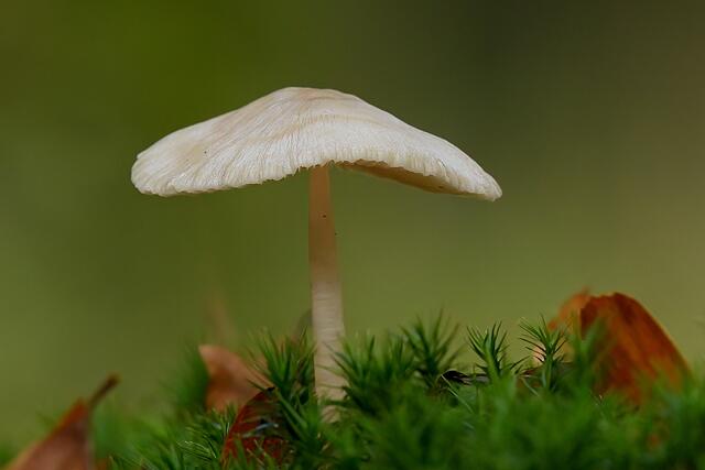Foto: Copyright Andreas Schäfer