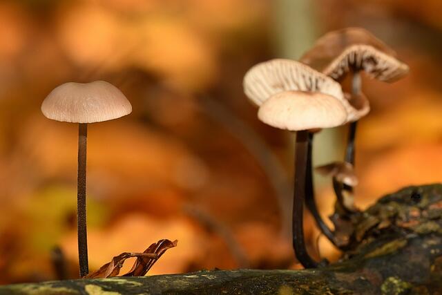 Foto: Copyright Andreas Schäfer