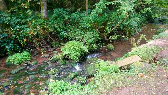 Der Höllbach in Oberhöllgrund | Foto: Shima Mahi