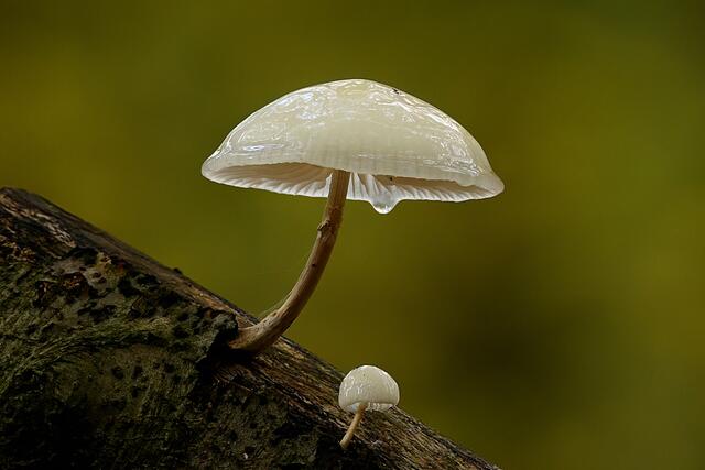 Foto: Copyright Andreas Schäfer