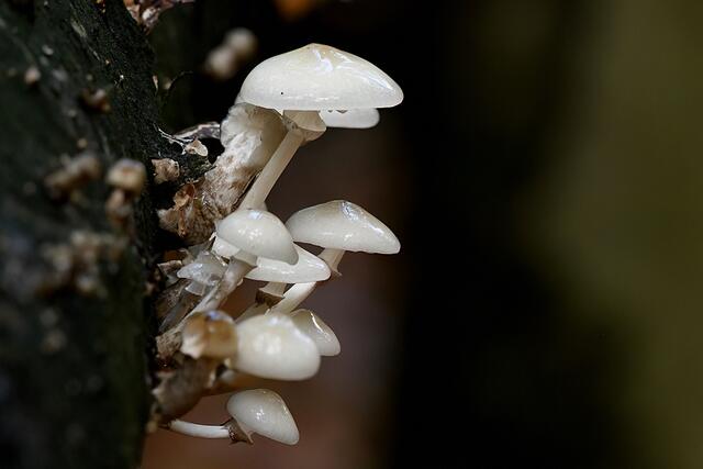 Foto: Copyright Andreas Schäfer