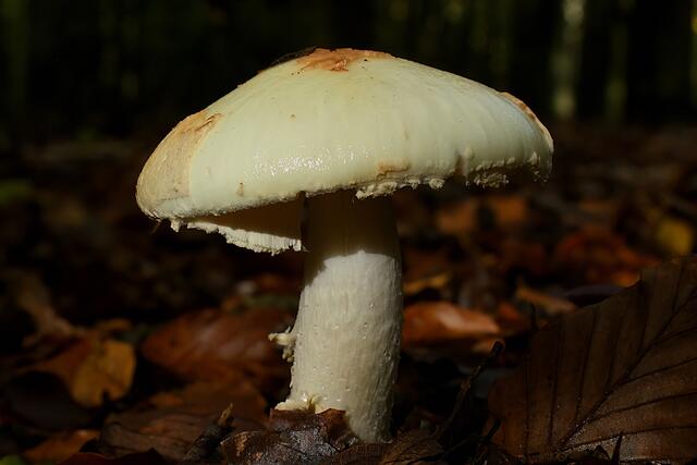Foto: Copyright Andreas Schäfer