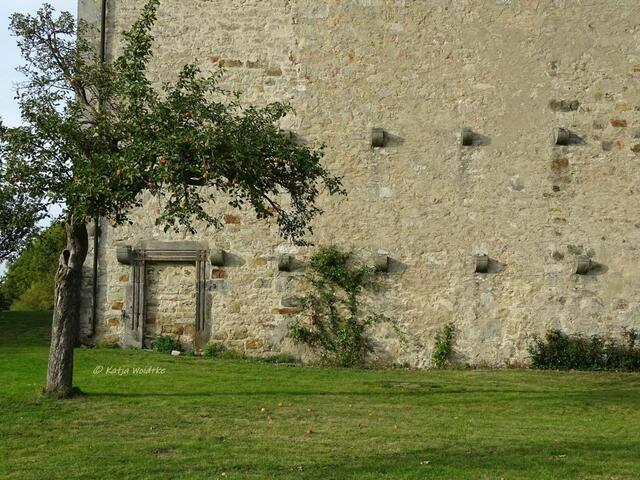 Versteckte Sehenswürdigkeit im Calenberger Land

Klosterkirche Wittenburg - Konsolsteine an der Außenwand der Kirche zeugen von einem ehemaligen Anbau | Foto: Katja Woidtke