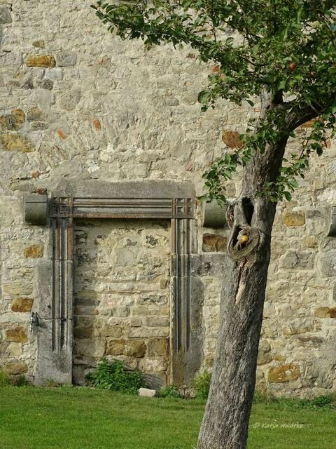 Versteckte Sehenswürdigkeit im Calenberger Land

Klosterkirche Wittenburg | Foto: Katja Woidtke
