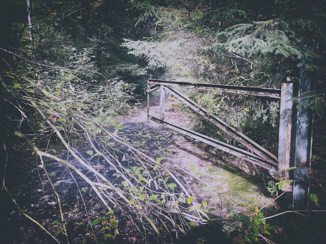 Foto: (c) Robert Gitler