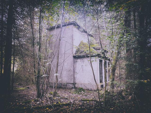 Foto: (c) Robert Gitler