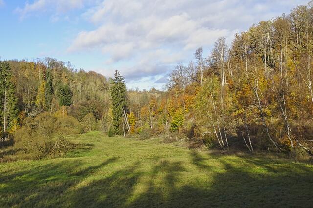 Katzensohltal