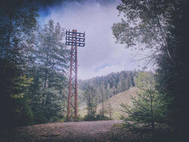 Foto: (c) Robert Gitler