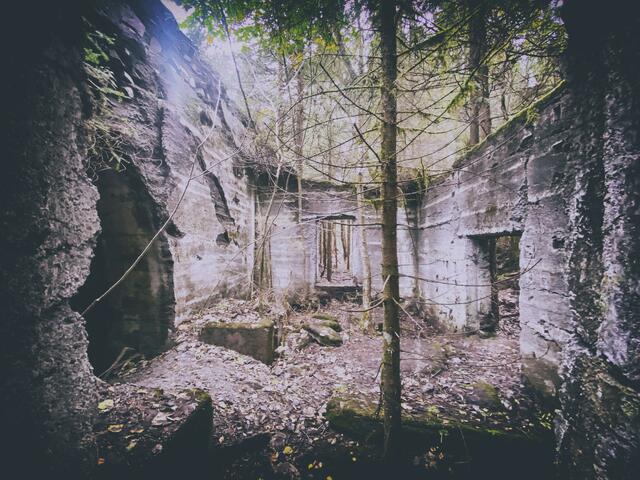 Foto: (c) Robert Gitler