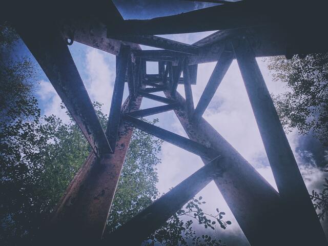 Foto: (c) Robert Gitler