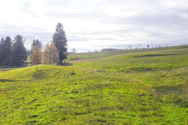 Katzsohltal