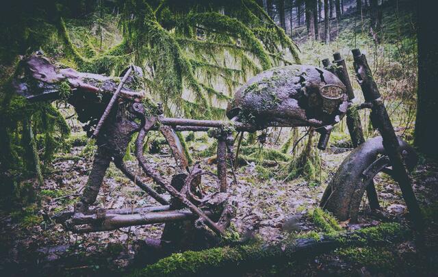 Foto: (c) Robert Gitler