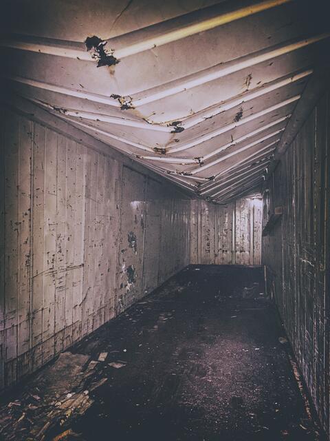 Foto: (c) Robert Gitler