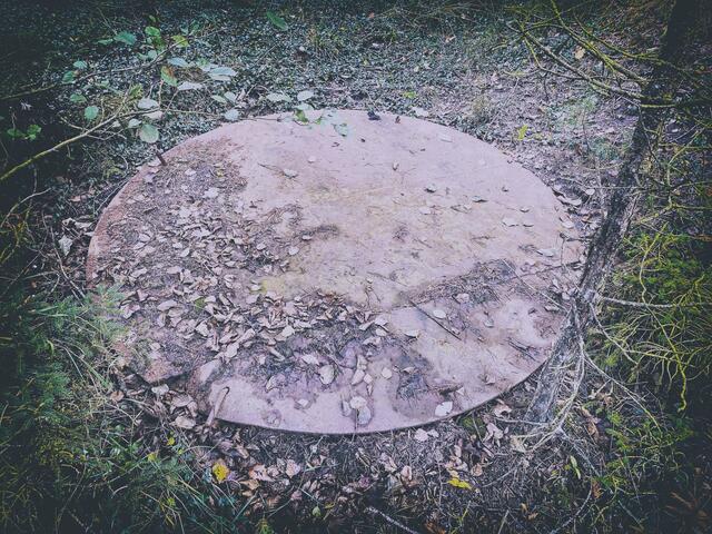 Foto: (c) Robert Gitler