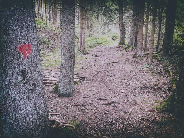 Foto: (c) Robert Gitler