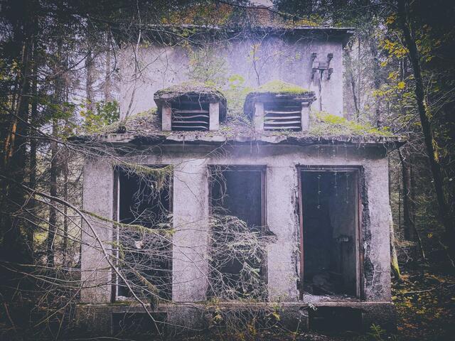 Foto: (c) Robert Gitler