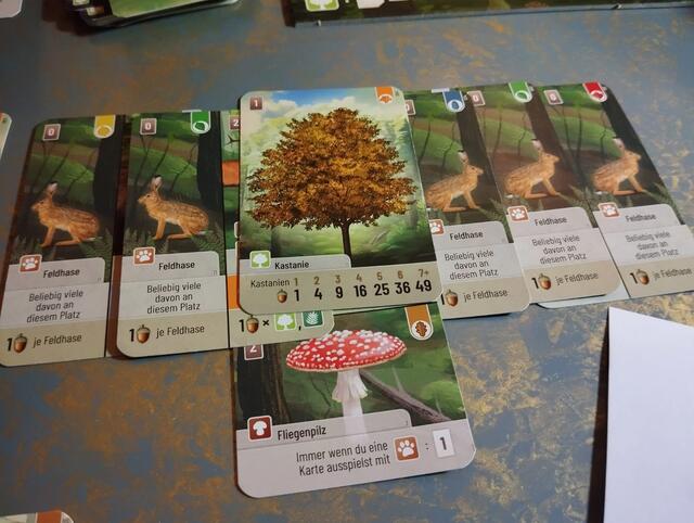 Mischwald von Lookout Games | Foto: Christian