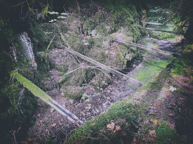 Foto: (c) Robert Gitler