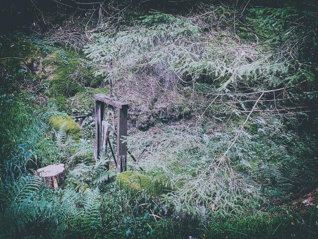 Foto: (c) Robert Gitler