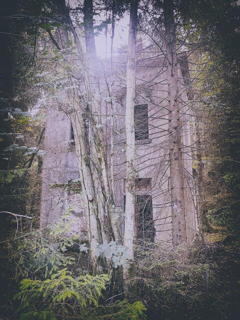 Foto: (c) Robert Gitler