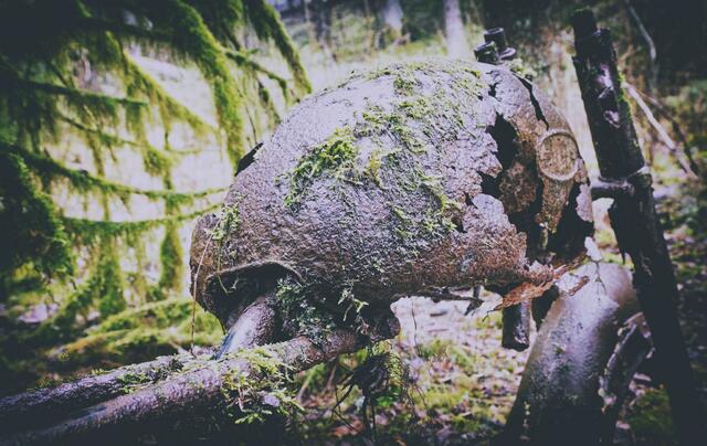 Foto: (c) Robert Gitler