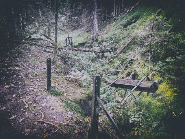 Foto: (c) Robert Gitler