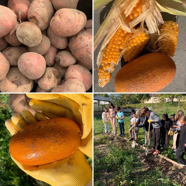 ein Teil der Ernte | Foto: Melina Drüssler