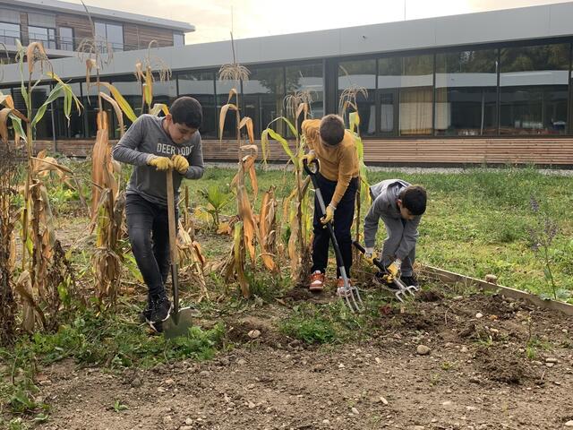 ein Teil der Projektgruppe in Aktion | Foto: Melina Drüssler