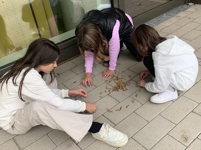 Schülerinnen der 5d überlegen gemeinsam ein Motiv | Foto: Melina Drüssler