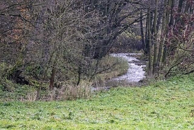 die Wolfsberger Wipper
