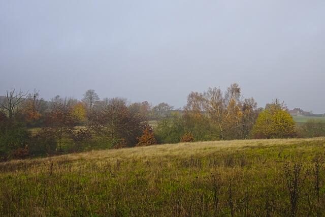 im Hagelsbachtal, noch konnte sich die Sonne nach den Nebel nicht durchsetzen