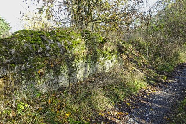 Mauerreste der Hilkenschwender Wüstung 