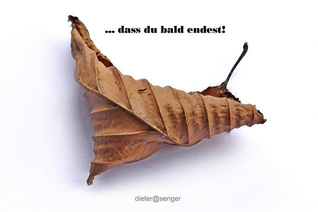 Foto: dieter@senger