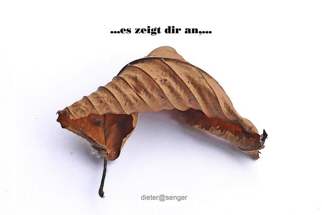 Foto: dieter@senger