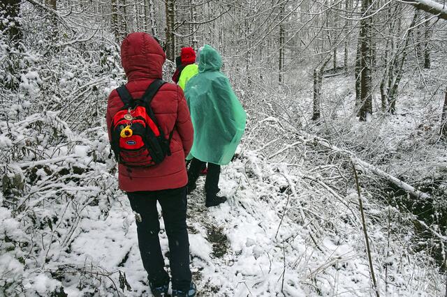 der Weg zum Kapitelsberg  ist kaum begehbar