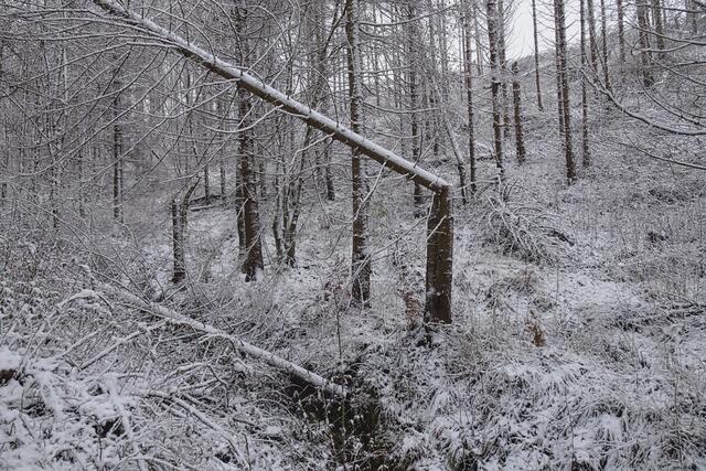 am Kapitelsberg