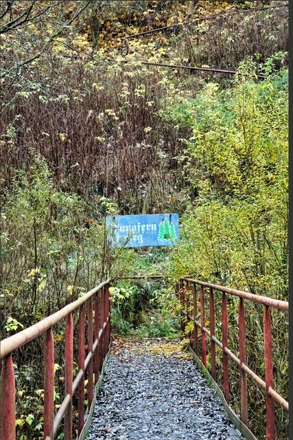 der gesperrte Jungfernstieg in Tanne (Archivbild)