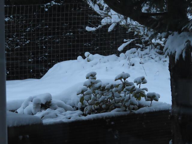 Blick aus dem kleinen Esszimmerfenster über die Terrasse zum Hochbeet. | Foto: M. A.
