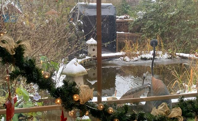 Das sitzt er wieder auf seinem Terrakotta-Soldaten 🦜